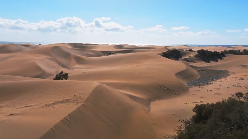 Empty Quarter Desert Dunes at Liwa, Abu Dhabi, United Arab Emirates Royalty-Free Stock Footage #1100015505
