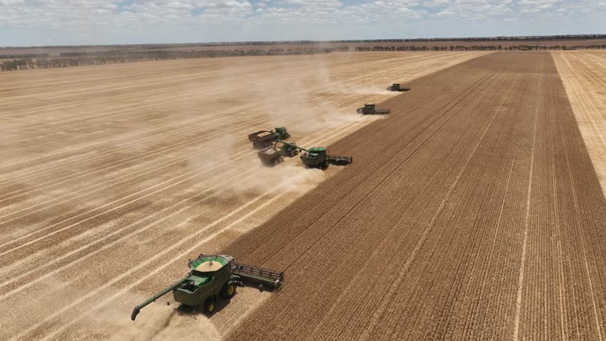 Broad Acre Grain Harvesting in Western Australia Royalty-Free Stock Footage #1100020961