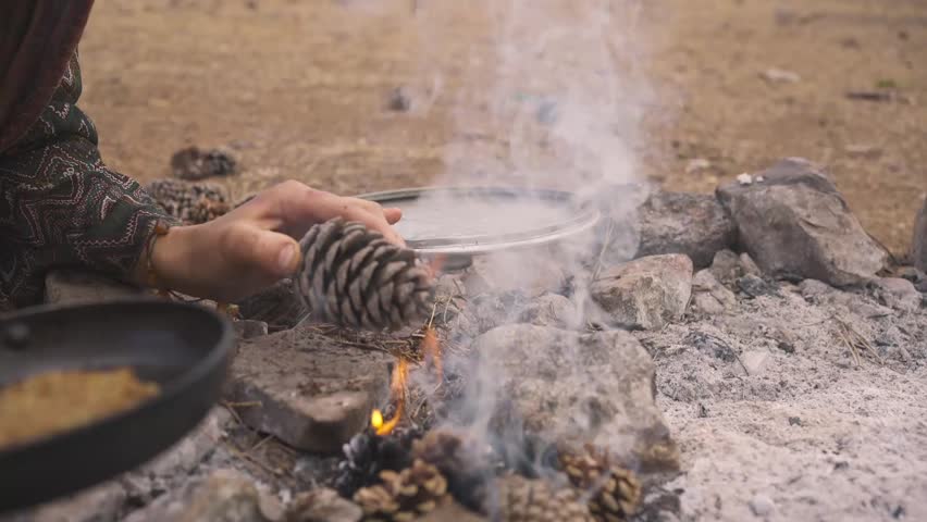 Close-up of hands adding pine cone to make fire outdoor, blowing on wood | Shutterstock HD Video #1100024443