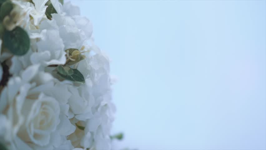 White roses close-up on a light background | Shutterstock HD Video #1100027469