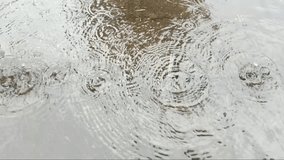 footage video of raindrop falling in puddles on the paving road