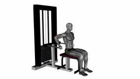 triceps dip machine fitness workout animation male muscle highlight demonstration at 4K resolution 60 fps crisp quality for websites, apps, blogs, social media etc.