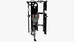 cable triceps overhead extension ez bar fitness workout animation male muscle highlight demonstration at 4K resolution 60 fps crisp quality for websites, apps, blogs, social media etc.