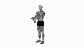 Dumbbell Front Raise v2 fitness workout animation male muscle highlight demonstration at 4K resolution 60 fps crisp quality for websites, apps, blogs, social media etc.