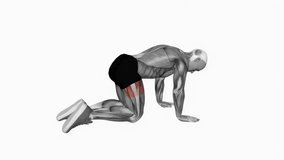 Bent Leg Side Kick kneeling fitness workout animation male muscle highlight demonstration at 4K resolution 60 fps crisp quality for websites, apps, blogs, social media etc.