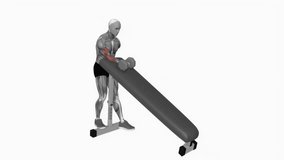 Dumbbell Standing One Arm Curl over incline bench fitness workout animation male muscle highlight demonstration at 4K resolution 60 fps crisp quality for websites, apps, blogs, social media etc.