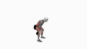 Kettlebell Swing Version 2 fitness workout animation male muscle highlight demonstration at 4K resolution 60 fps crisp quality for websites, apps, blogs, social media etc.