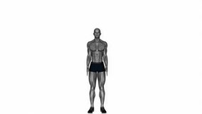 Overhand tricep stretching single arm fitness workout animation male muscle highlight demonstration at 4K resolution 60 fps crisp quality for websites, apps, blogs, social media etc.