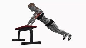 incline diamond push up On Bench fitness workout animation male muscle highlight demonstration at 4K resolution 60 fps crisp quality for websites, apps, blogs, social media etc.