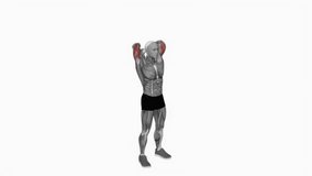Dumbbell Standing Triceps Extension fitness workout animation male muscle highlight demonstration at 4K resolution 60 fps crisp quality for websites, apps, blogs, social media etc.