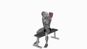 Dumbbell Seated Bench Extension fitness workout animation male muscle highlight demonstration at 4K resolution 60 fps crisp quality for websites, apps, blogs, social media etc.