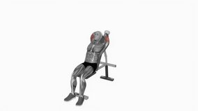 Dumbbell Incline Two Arm Extension fitness workout animation male muscle highlight demonstration at 4K resolution 60 fps crisp quality for websites, apps, blogs, social media etc.