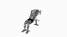 Dumbbell Incline Triceps Extension fitness workout animation male muscle highlight demonstration at 4K resolution 60 fps crisp quality for websites, apps, blogs, social media etc.