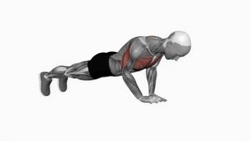 Diamond Push-up fitness workout animation male muscle highlight demonstration at 4K resolution 60 fps crisp quality for websites, apps, blogs, social media etc.