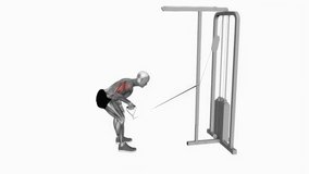 Cable Neutral Grip Kickback fitness workout animation male muscle highlight demonstration at 4K resolution 60 fps crisp quality for websites, apps, blogs, social media etc.