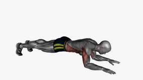 bodyweight triceps extension fitness workout animation male muscle highlight demonstration at 4K resolution 60 fps crisp quality for websites, apps, blogs, social media etc.