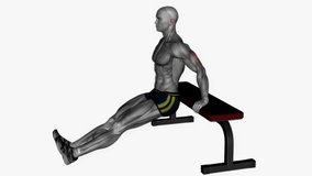 bench triceps dip leg curls fitness workout animation male muscle highlight demonstration at 4K resolution 60 fps crisp quality for websites, apps, blogs, social media etc.