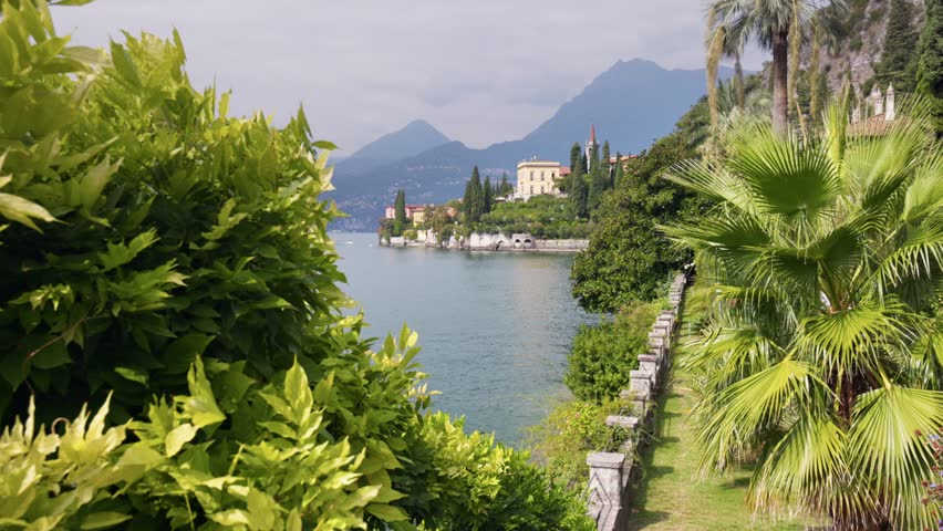 Lush greenery in the park on the shore Lake Como, Italy. Variety of green plants in the botanical garden of villa Monastero near Varenna village. Gimbal shot, mountains on background