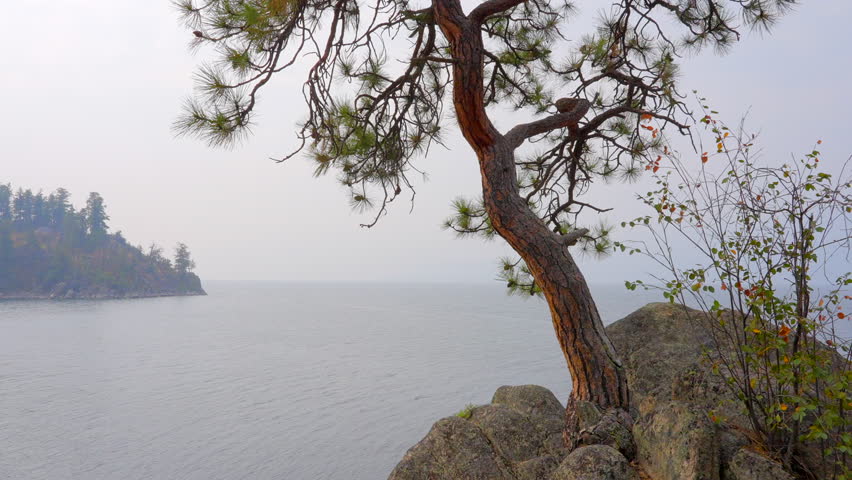 Establishing shot of lake with white clouds in Vancouver, Canada, North America. Day time on July 2022. Still camera view. ProRes 422 HQ.