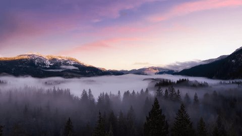 Green Trees in Forest with Fog and Mountains. Sunrise Sky Art Render. Canadian Nature Landscape Background. Near Squamish, British Columbia, Canada. Cinemagraph Continuous Loop Animation: stockvideo