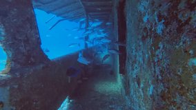 4k video of the wreck of the MV Sherice M in South Bimini, Bahamas