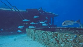 4k video of the wreck of the MV Sherice M in South Bimini, Bahamas