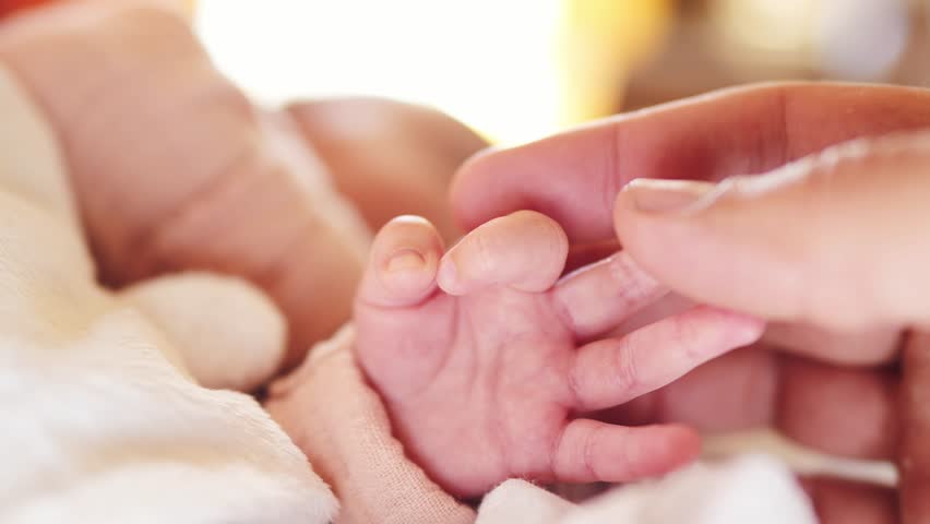 Mother holding hand a newborn baby. dream kindergarten a family concept. hand infant girl child close-up sleeping in bed covered with a blanket light. mother and newborn hand close-up | Shutterstock HD Video #1100056225