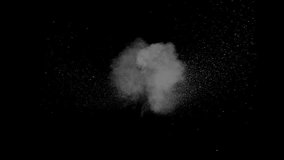 Abstract white smoke in slow motion. Smoke, Cloud of cold fog in light spot background. Light, white, fog, cloud, black background, 4k, ice smoke cloud. Floating fog. - Powered by Shutterstock - Get 15% off with code: PIKWIZARD15