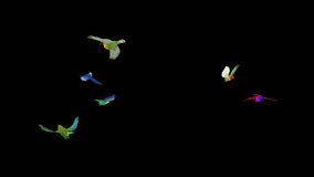 Fantasy Lovebirds - Flock of 3 Colorful Pairs - Flying Around Screen - Transparent Loop - 3D Animation with Alpha Channel