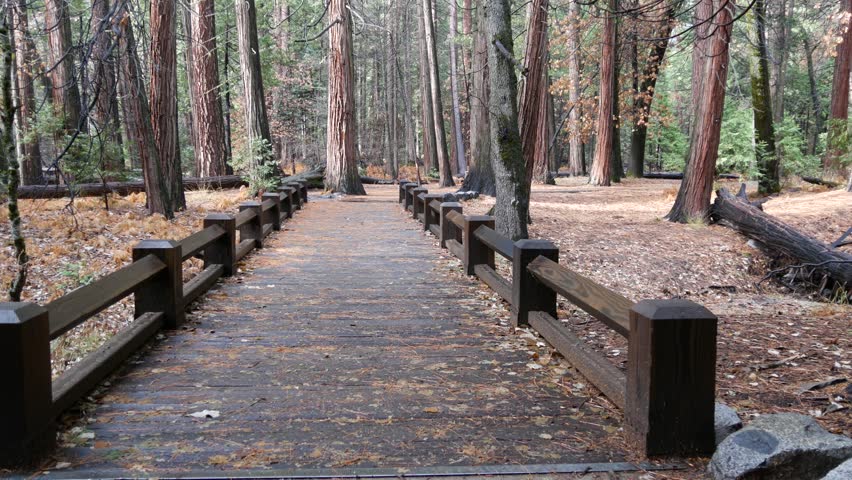 Wooden bridge or catwalk perspective in autumn pine tree forest, Yosemite valley landscape, California fall nature, USA. Hiking or trekking in wilderness, footbridge on boardwalk trail for ecotourism.