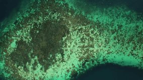 4k Aerial of Turquoise Colored Coral Reef, Coron, Palawan Philippines 1