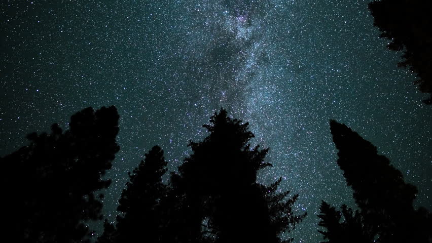 Sequoia National Park Milky Way Galaxy and Perseid Meteor Shower in North Sky Sierra Nevada Mountains California USA