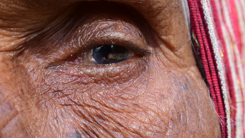 Senior woman eyes, wrinkled face. portrait of old  grandmother with green eyes | Shutterstock HD Video #1100069259