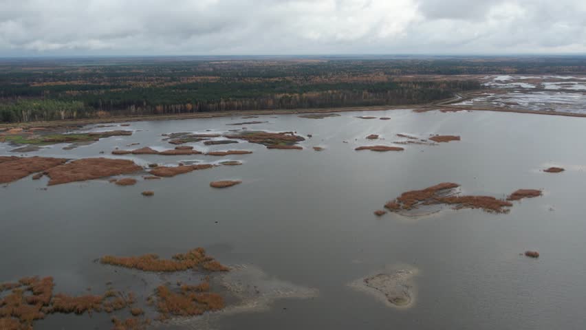 Autumn landscape. Aerial view. Endless forests and swamps.