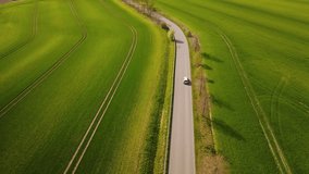 The car drives down the road through a green field. Video from a drone. A beautiful green field. A car in a field. Fast flying over the car. 