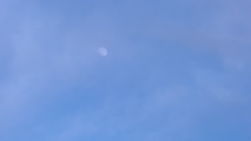 the crows fly over the moon in a day light