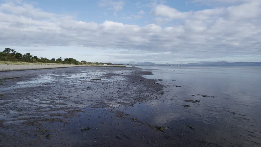 Slow daytime flight over Dundalk Bay beach, just above the sand, with scatterings of birds. Dundalk, Ireland.