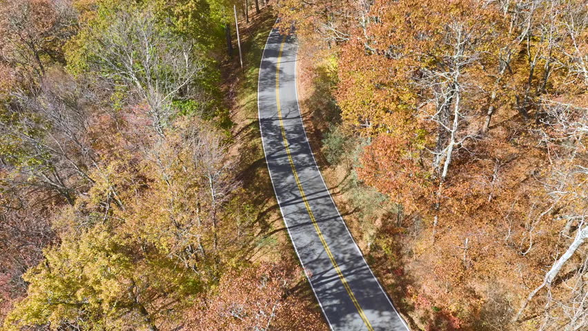 Aerial view of empty scenic Blue Ridge Parkway road in Appalachian mountains winding between yellow woods in fall season. Traveling in North Carolina