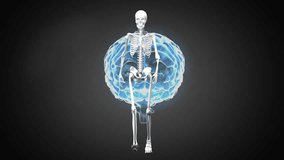 Animation of digital brain and skeleton walking over data processing on black background. global science, medicine and digital interface concept digitally generated video.