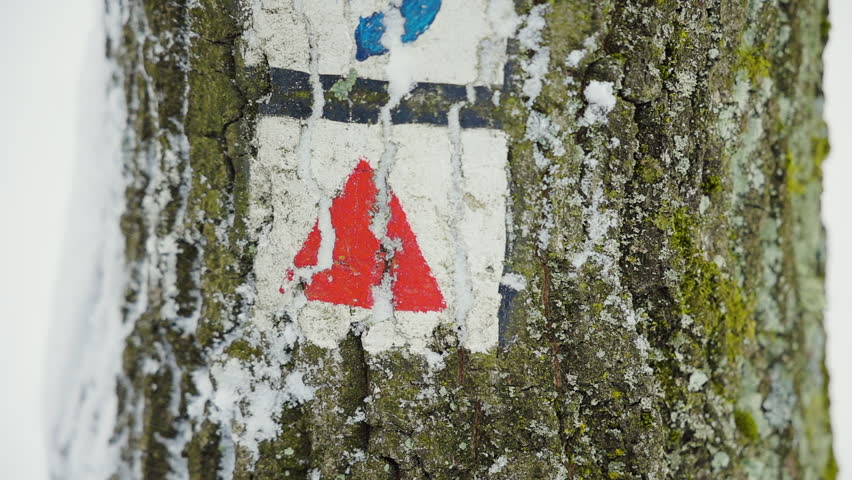 The gloved hand points to a red triangular tourist sign that is painted on the side of a tree, while it is winter cold and snowing.