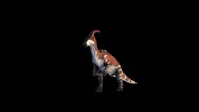 Dinosaur Parasaurolophus Walk 3D Animation With Alpha Video