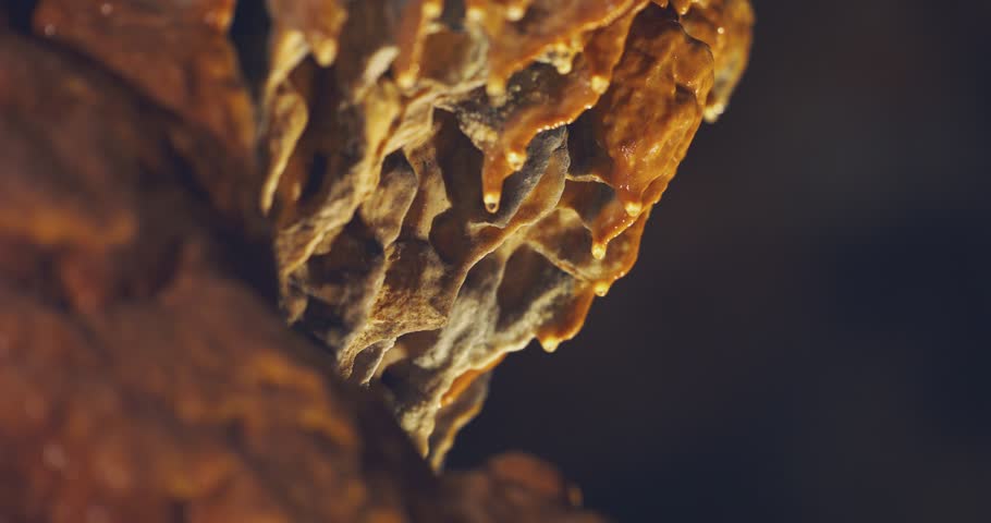 Water Drips Off Stalactite Hungary Central Europe