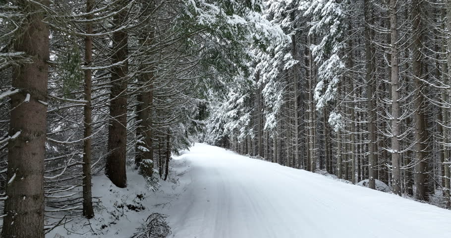 Aerial drone view of the road in idyllic winter landscape nature in a dense forest with fresh snow. 