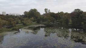 Drone video of a park in Warsaw in fall season with green trees and birds flying