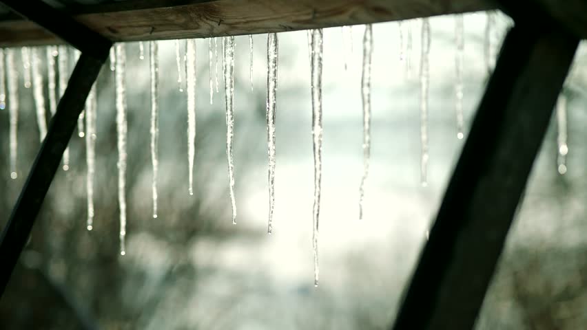 Drops Water From Melting Icicles. Coming Spring Shiny Clear Ice On March. Spring Warm Melting Icicles. Winter End Warming Weather. Early Spring Season Warm Day. Drop Of Meltwater In Icicles Winter End Royalty-Free Stock Footage #1100129215