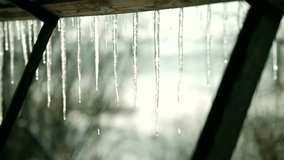 Drops Water From Melting Icicles. Coming Spring Shiny Clear Ice On March. Spring Warm Melting Icicles. Winter End Warming Weather. Early Spring Season Warm Day. Drop Of Meltwater In Icicles Winter End - Powered by Shutterstock - Get 15% off with code: PIKWIZARD15