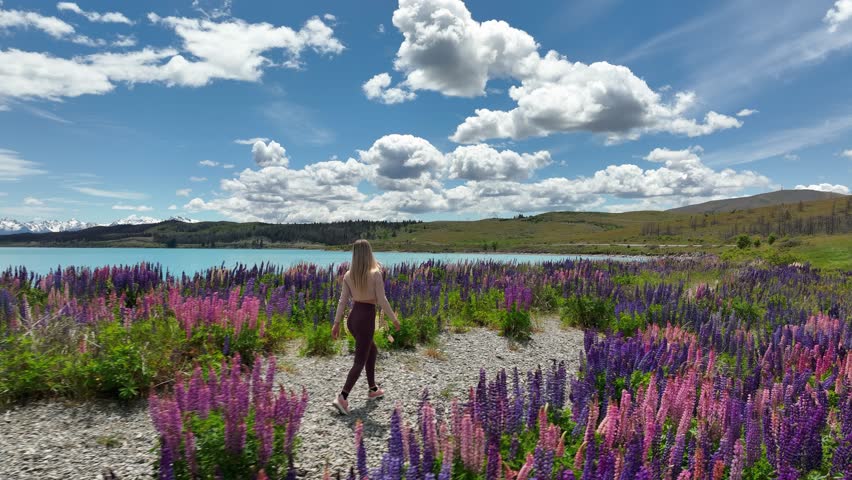 Fit blond woman walking through vibrant Lupin Flower field in New Zealand Royalty-Free Stock Footage #1100131523