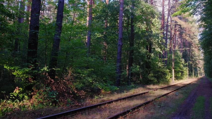 Railway tracks view. Railway rails and embankment surrounded by forest. Railroad