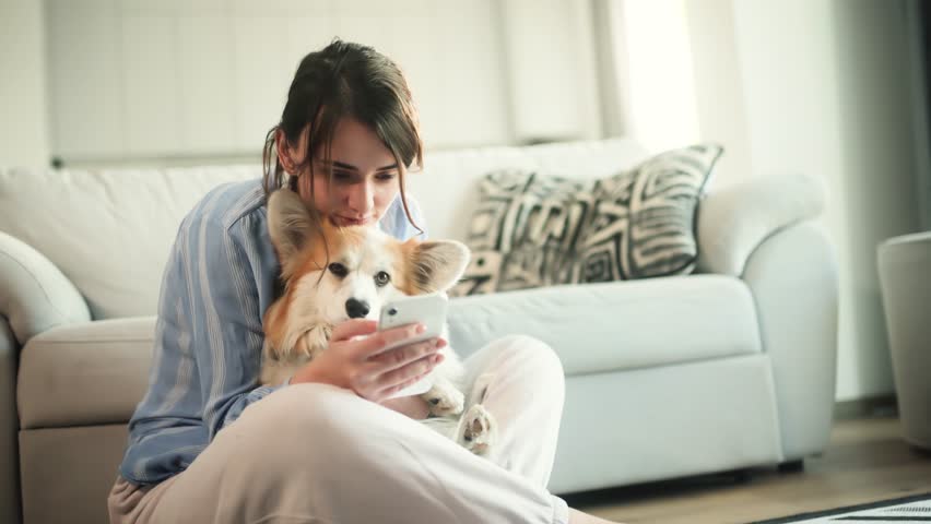 Attractive young woman using smartphone scrolling social media texting browsing online while hugging her cute fluffy corgi in living room Beautiful girl relaxing while chatting at mobile phone at home Royalty-Free Stock Footage #1100137699