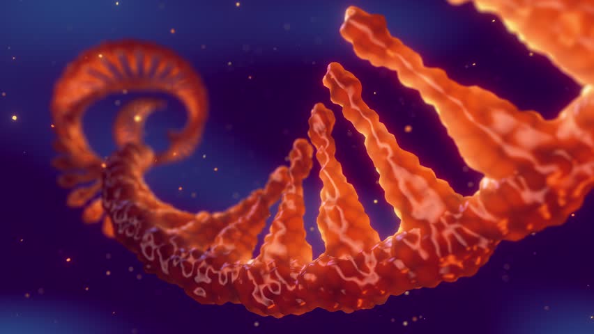 Animation of single strand Ribonucleic acid. mRNA vaccine research concept. RNA plays an important role in cellular protein synthesis Royalty-Free Stock Footage #1100139927